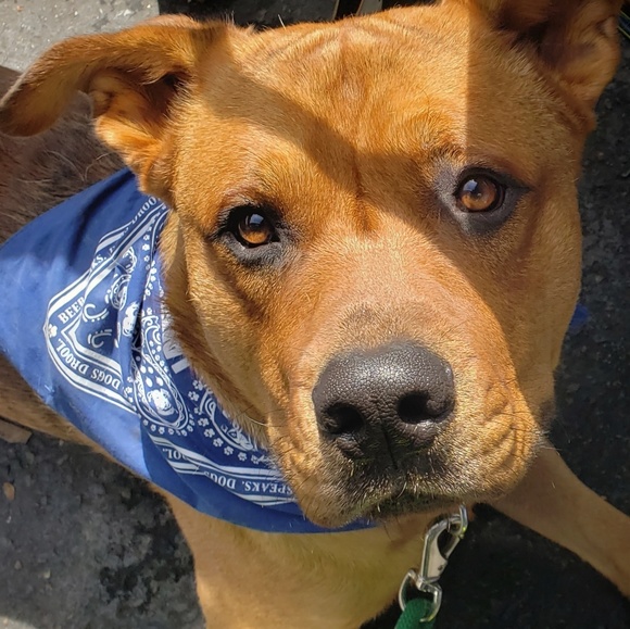 Meet your Posher, Jeremiah - Picture 1 of 1